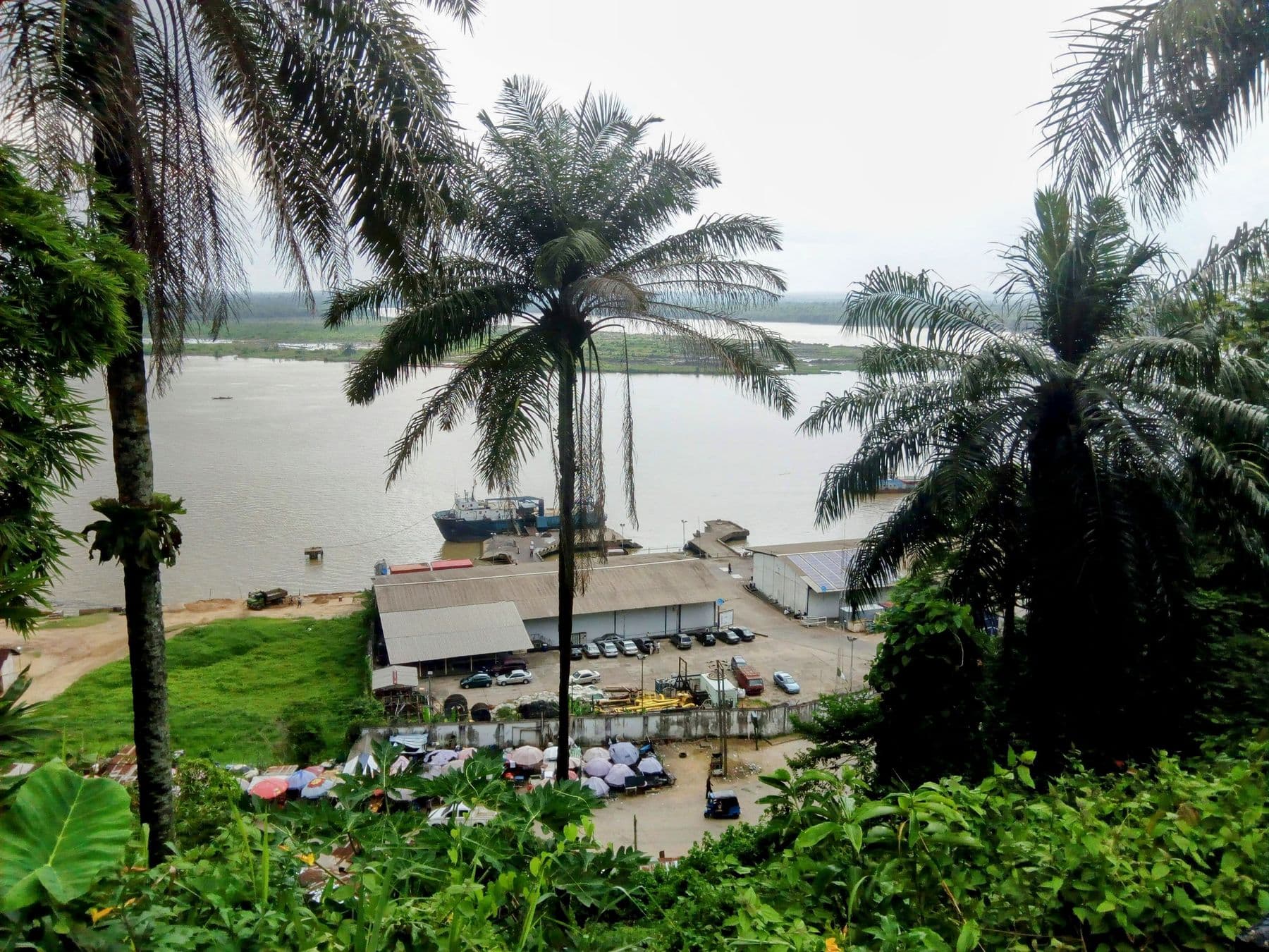 Palm trees framing the harbour and waterfront on the Calabar River