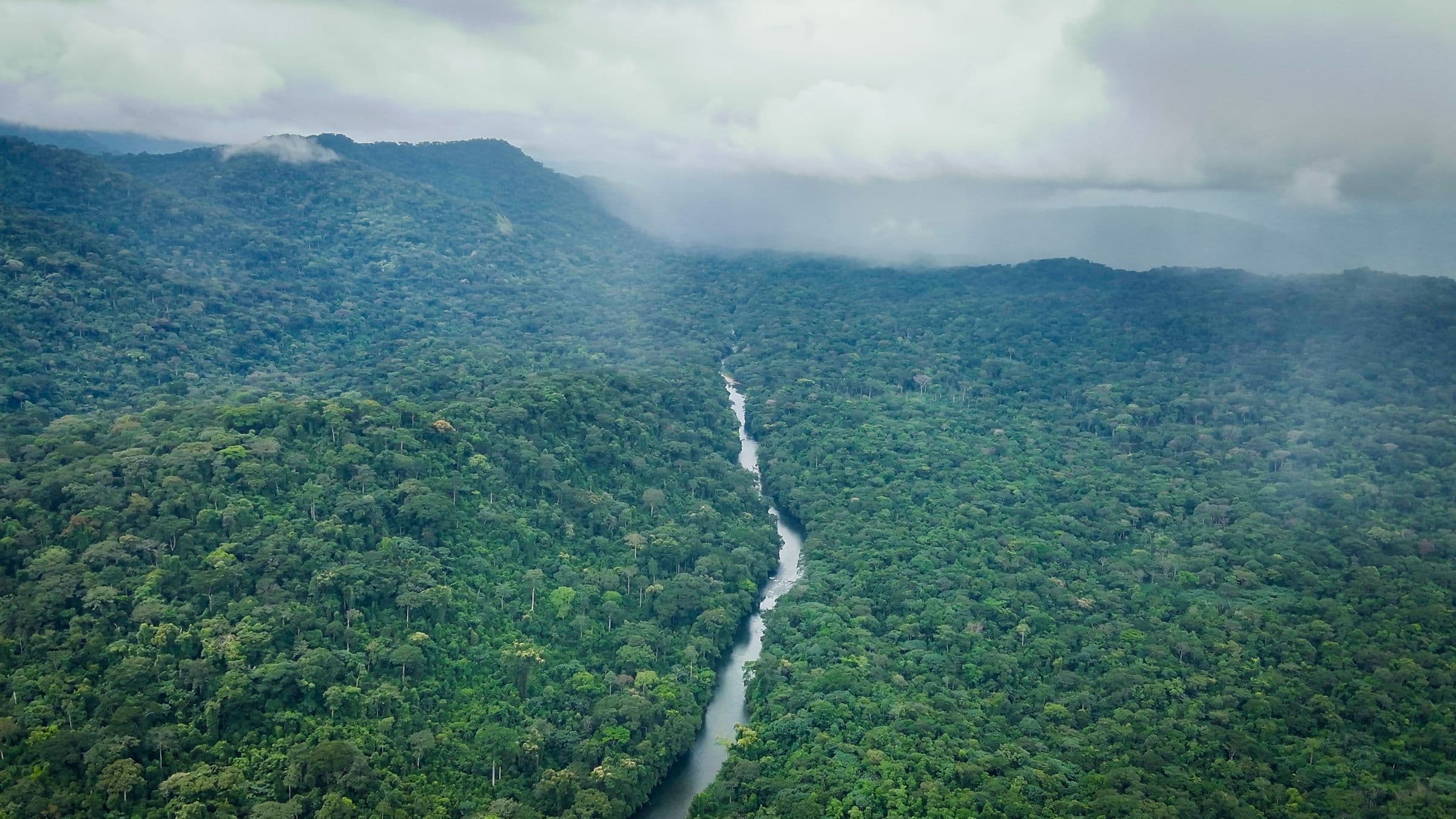 Aerial view of the Oyi River cutting through dense rainforest