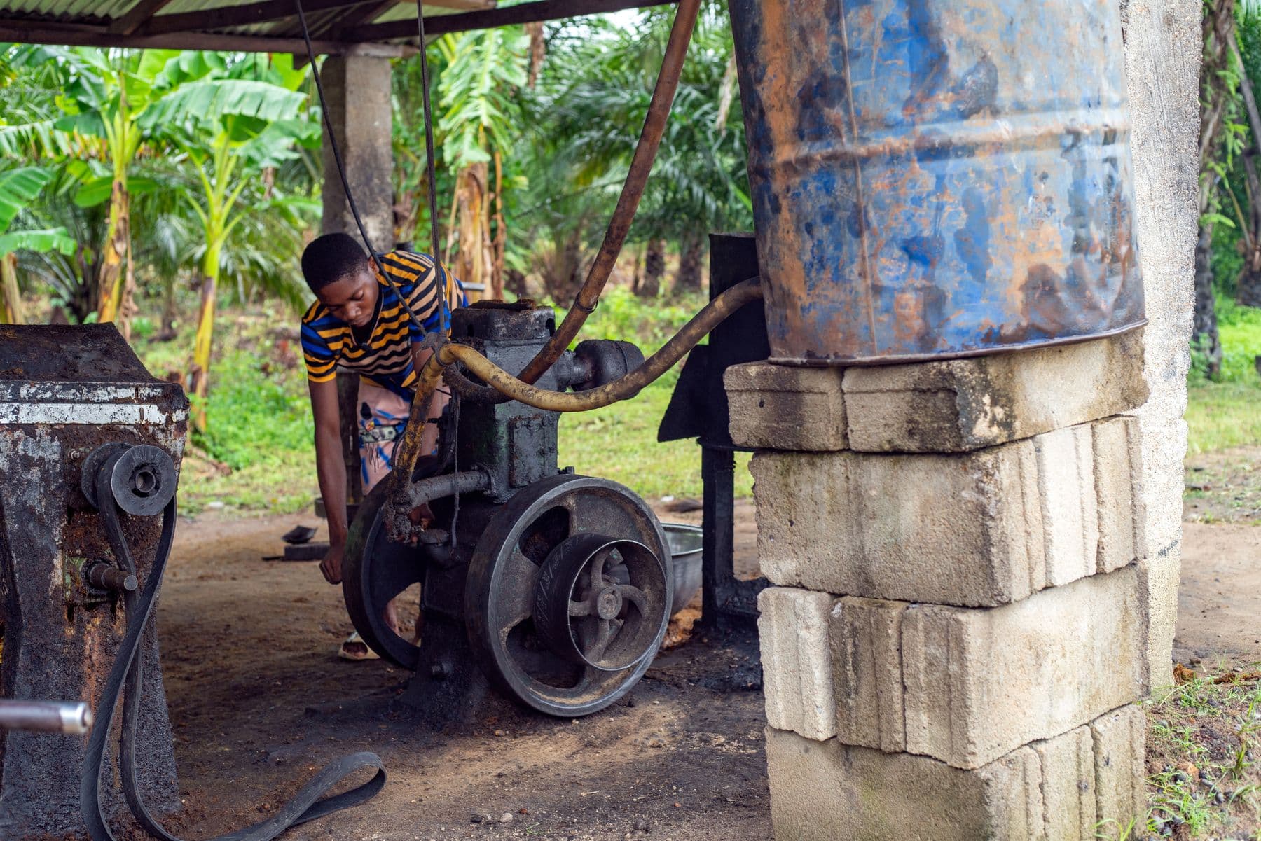 A young man operating a palm oil processing machine